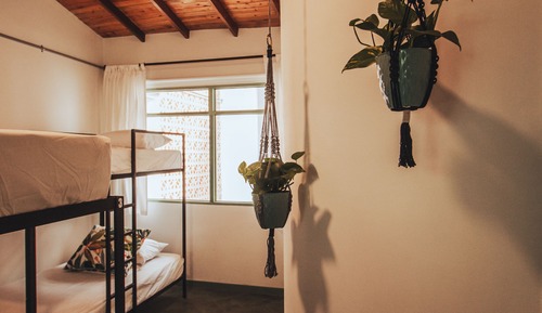 Habitación cuádruple familiar