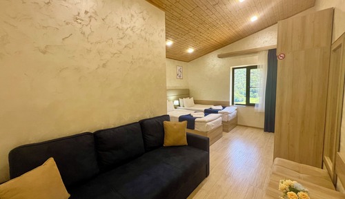 Habitación estándar con 1 cama doble o 2 individuales