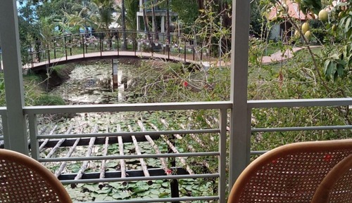 Casa en un árbol familiar