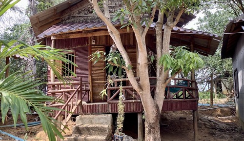 Casa en un árbol tradicional