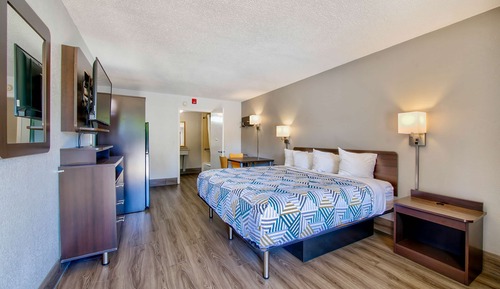 Habitación estándar, 1 cama de matrimonio grande, no fumadores