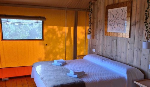 Tienda junior, 1 cama de matrimonio, baño privado, vistas a la montaña