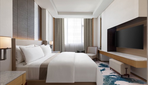 Suite ejecutiva, 1 cama doble
