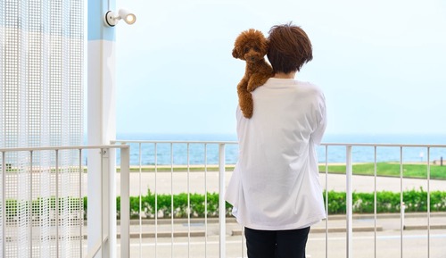 Habitación estándar, vistas al mar