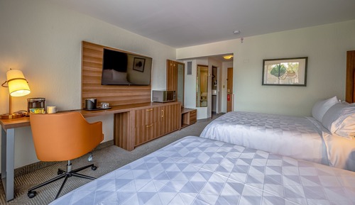 Habitación estándar, 2 camas dobles