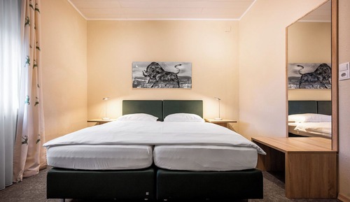 Habitación estándar con 1 cama doble o 2 individuales