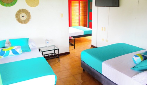 Habitación Premium