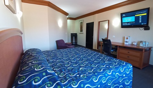Habitación individual estándar