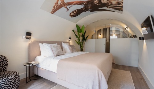 Habitación Premier