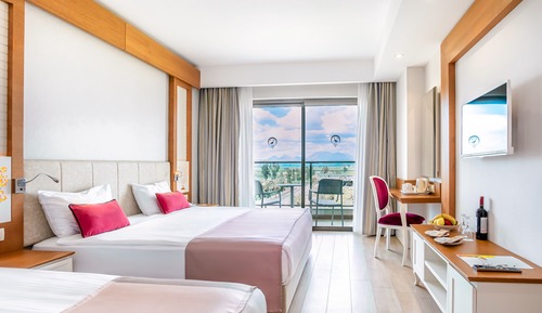 Habitación estándar, vistas al jardín