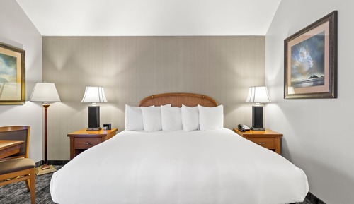 Habitación estándar, 1 cama de matrimonio grande