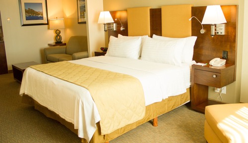 Habitación estándar, 1 cama de matrimonio grande