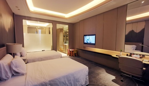 Habitación ejecutiva, 2 camas individuales