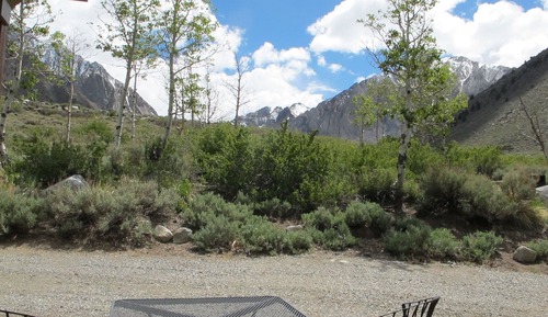 Cabaña familiar (Cottonwood)