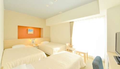 Habitación Deluxe con 2 camas individuales, no fumadores