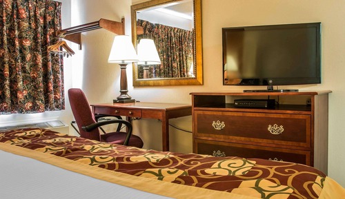 Habitación estándar, 1 cama de matrimonio grande, no fumadores