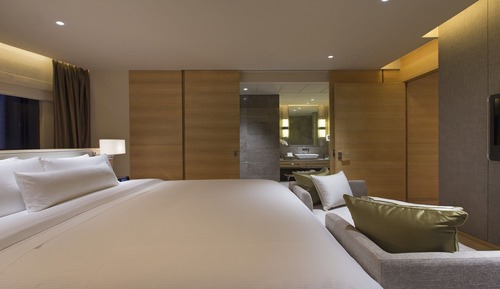 Suite ejecutiva, 1 habitación