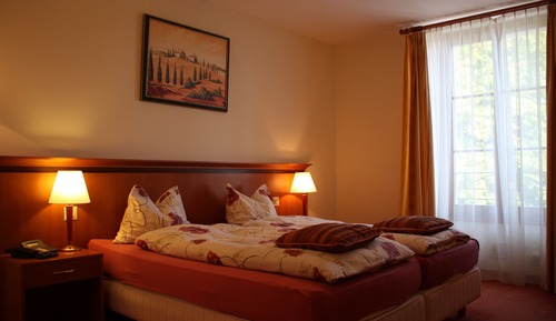 Habitación estándar con 1 cama doble o 2 individuales (Single Use)