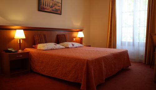 Habitación doble superior