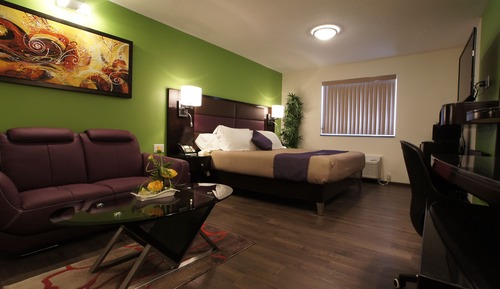 King Bed W.C. Accessible Suite