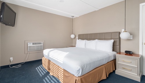 Suite, 1 cama de matrimonio grande con sofá cama