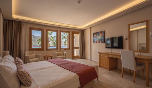Habitación Deluxe
