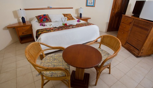 Habitación, 1 cama de matrimonio grande, vistas al jardín (with shared terrace)