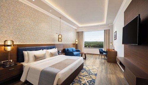 Habitación Deluxe, 1 cama de matrimonio grande