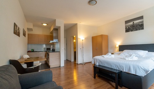 Estudio Deluxe, 1 cama de matrimonio, no fumadores, vistas a la ciudad