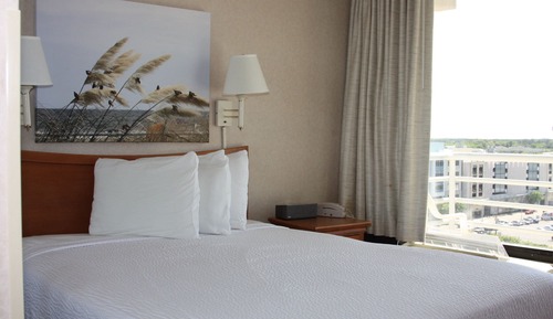 Suite, 1 cama de matrimonio con sofá cama