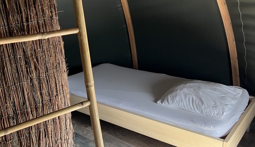 Casa en un árbol