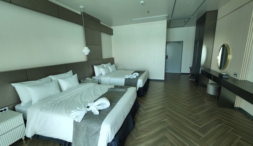Habitación Deluxe doble