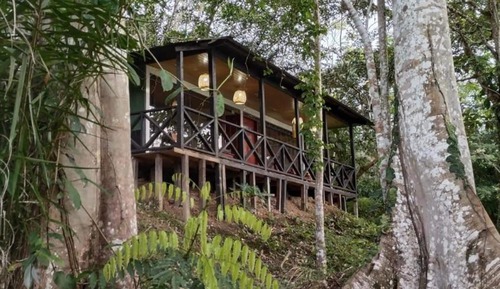 Habitación individual Confort