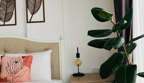 Habitación Deluxe con 1 cama doble o 2 individuales