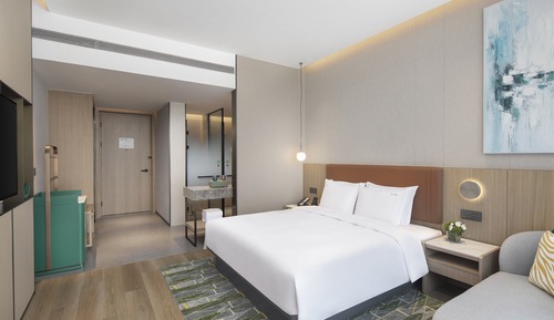 Habitación estándar, 1 cama de matrimonio grande