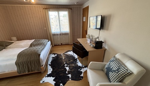 Habitación básica doble, 1 cama de matrimonio, vistas a la montaña