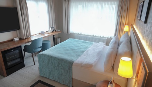Habitación Deluxe doble