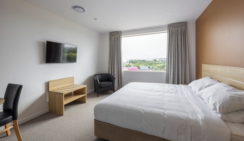 Habitación Deluxe, 1 cama de matrimonio grande