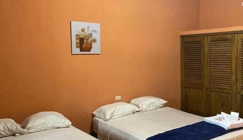 Habitación básica doble, 2 camas individuales, bañera accesible, vistas al jardín