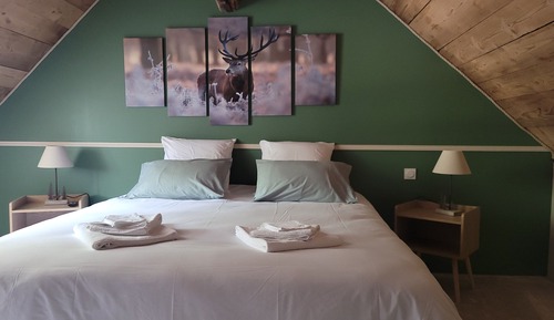 Habitación con 1 cama doble o 2 individuales