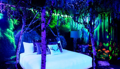 Habitación de diseño, 1 cama de matrimonio grande
