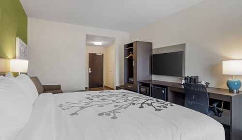 Habitación estándar, 1 cama de matrimonio grande, no fumadores