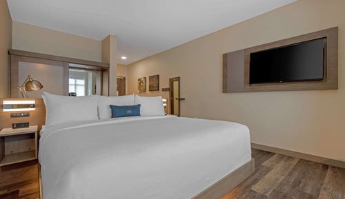 Habitación estándar, 1 cama de matrimonio grande, no fumadores (Accessible Tub)