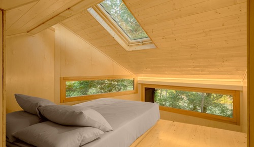 Casa en un árbol