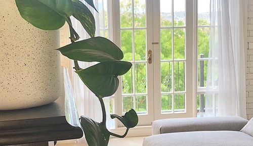 Suite Grand