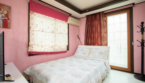 Room (Tulip)