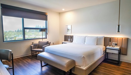 Habitación Premium, 1 cama de matrimonio grande