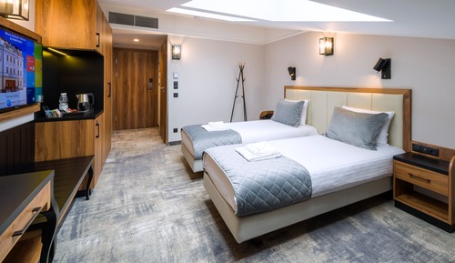 Habitación estándar con 2 camas individuales (Attic)