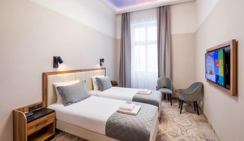 Habitación Deluxe con 2 camas individuales