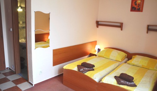 Habitación estándar con 1 cama doble o 2 individuales